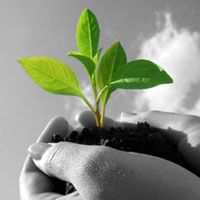 Agricultural consultant
